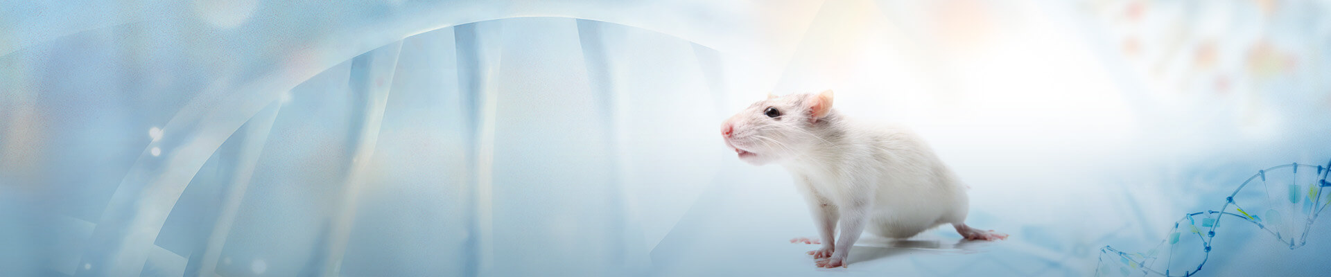 動(dòng)物模型中心